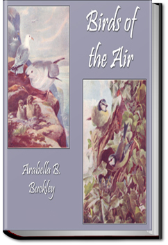 Birds in the Air | Arabella B. Buckley